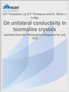 On unilateral conductivity in tourmaline crystals