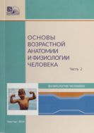 Основы возрастной анатомии и физиологии человека. В 2 ч. Ч. 2