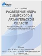 РАЗВЕДЕНИЕ КЕДРА СИБИРСКОГО В АРХАНГЕЛЬСКОЙ ОБЛАСТИ