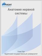 Анатомия нервной системы