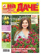 АиФ. На даче