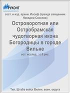 Островоротная или Остробрамская чудотворная икона Богородицы в городе Вильне