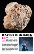 Наука и жизнь