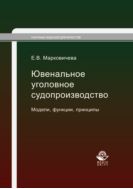 Ювенальное уголовное судопроизводство. Модели, функции, принципы