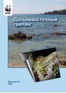 Дальневосточный трепанг 