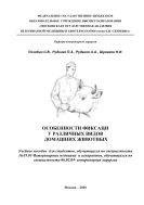Особенности фиксации у различных видов домашних животных