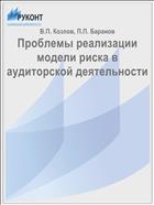 Проблемы реализации модели риска в аудиторской деятельности