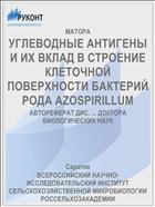 УГЛЕВОДНЫЕ АНТИГЕНЫ И ИХ ВКЛАД В СТРОЕНИЕ КЛЕТОЧНОЙ ПОВЕРХНОСТИ БАКТЕРИЙ РОДА AZOSPIRILLUM