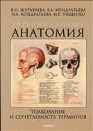 Анатомия. Толкование и сочетаемость терминов