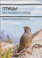 Птицы Восточного Саяна