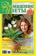 Домашние цветы