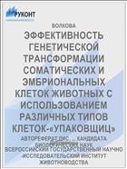 ЭФФЕКТИВНОСТЬ ГЕНЕТИЧЕСКОЙ ТРАНСФОРМАЦИИ СОМАТИЧЕСКИХ И ЭМБРИОНАЛЬНЫХ КЛЕТОК ЖИВОТНЫХ С ИСПОЛЬЗОВАНИЕМ РАЗЛИЧНЫХ ТИПОВ КЛЕТОК-«УПАКОВЩИЦ»