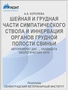 ШЕЙНАЯ И ГРУДНАЯ ЧАСТИ СИМПАТИЧЕСКОГО СТВОЛА И ИННЕРВАЦИЯ ОРГАНОВ ГРУДНОЙ ПОЛОСТИ СВИНЬИ