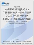 КАРБОАНГИДРАЗА И ПЕРВИЧНАЯ ФИКСАЦИЯ СО2 У РАЗЛИЧНЫХ ГЕНОТИПОВ ПШЕНИЦЫ