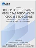 СОВЕРШЕНСТВОВАНИЕ ОВЕЦ СТАВРОПОЛЬСКОЙ ПОРОДЫ В ПОВОЛЖЬЕ