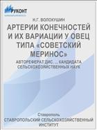 АРТЕРИИ КОНЕЧНОСТЕЙ И ИХ ВАРИАЦИИ У ОВЕЦ ТИПА «СОВЕТСКИЙ МЕРИНОС»