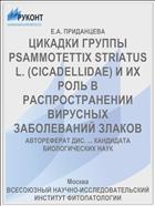 ЦИКАДКИ ГРУППЫ PSAMMOTETTIX STRIATUS L. (CICADELLIDAE) И ИХ РОЛЬ В РАСПРОСТРАНЕНИИ ВИРУСНЫХ ЗАБОЛЕВАНИЙ ЗЛАКОВ