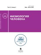 Физиология человека