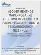 ИЗОФЕРМЕНТНОЕ МАРКИРОВАНИЕ ГЕНЕТИЧЕСКИХ СИСТЕМ РАДИОРЕЗИСТЕНТНОСТИ ГЕКСАПЛОИДНОЙ ПШЕНИЦЫ