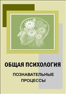 Общая психология: познавательные процессы