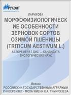 МОРФОФИЗИОЛОГИЧЕСКИЕ ОСОБЕННОСТИ ЗЕРНОВОК СОРТОВ ОЗИМОЙ ПШЕНИЦЫ (TRITICUM AESTIVUM L.)