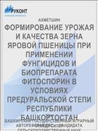 ФОРМИРОВАНИЕ УРОЖАЯ И КАЧЕСТВА ЗЕРНА ЯРОВОЙ ПШЕНИЦЫ ПРИ ПРИМЕНЕНИИ ФУНГИЦИДОВ И БИОПРЕПАРАТА ФИТОСПОРИН В УСЛОВИЯХ ПРЕДУРАЛЬСКОЙ СТЕПИ РЕСПУБЛИКИ БАШКОРТОСТАН