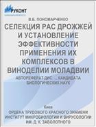 СЕЛЕКЦИЯ РАС ДРОЖЖЕЙ И УСТАНОВЛЕНИЕ ЭФФЕКТИВНОСТИ ПРИМЕНЕНИЯ ИХ КОМПЛЕКСОВ В ВИНОДЕЛИИ МОЛАДВИИ