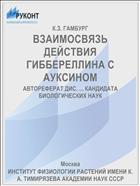 ВЗАИМОСВЯЗЬ ДЕЙСТВИЯ ГИББЕРЕЛЛИНА С АУКСИНОМ