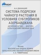 СИСТЕМА ПОДРЕЗКИ ЧАЙНОГО РАСТЕНИЯ В УСЛОВИЯХ СУБТРОПИКОВ АЗЕРБАЙДЖАНА
