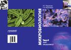 Микробиология. Часть 3. Мир прокариот