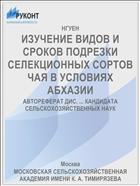 ИЗУЧЕНИЕ ВИДОВ И СРОКОВ ПОДРЕЗКИ СЕЛЕКЦИОННЫХ СОРТОВ ЧАЯ В УСЛОВИЯХ АБХАЗИИ