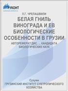 БЕЛАЯ ГНИЛЬ ВИНОГРАДА И ЕВ БИОЛОГИЧЕСКИЕ ОСОБЕННОСТИ В ГРУЗИИ