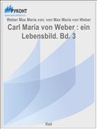 Carl Maria von Weber : ein Lebensbild. Bd. 3