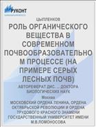 РОЛЬ ОРГАНИЧЕСКОГО ВЕЩЕСТВА В СОВРЕМЕННОМ ПОЧВООБРАЗОВАТЕЛЬНОМ ПРОЦЕССЕ (НА ПРИМЕРЕ СЕРЫХ ЛЕСНЫХ ПОЧВ)