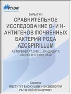 СРАВНИТЕЛЬНОЕ ИССЛЕДОВАНИЕ О- И Н-АНТИГЕНОВ ПОЧВЕННЫХ БАКТЕРИЙ РОДА AZOSPIRILLUM