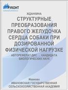 СТРУКТУРНЫЕ ПРЕОБРАЗОВАНИЯ ПРАВОГО ЖЕЛУДОЧКА СЕРДЦА СОБАКИ ПРИ ДОЗИРОВАННОЙ ФИЗИЧЕСКОЙ НАГРУЗКЕ