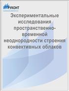 Экспериментальные исследования пространственно-временной неоднородности строения конвективных облаков