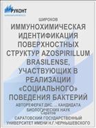 ИММУНОХИМИЧЕСКАЯ ИДЕНТИФИКАЦИЯ ПОВЕРХНОСТНЫХ СТРУКТУР AZOSPIRILLUM BRASILENSE, УЧАСТВУЮЩИХ В РЕАЛИЗАЦИИ «СОЦИАЛЬНОГО» ПОВЕДЕНИЯ БАКТЕРИЙ