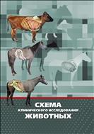Схема клинического исследования животных