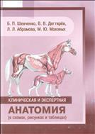 Клиническая и экспертная анатомия( в схемах,рисунках и таблицах)