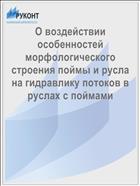 О воздействии особенностей морфологического строения поймы и русла на гидравлику потоков в руслах с поймами