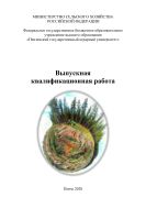 Выпускная квалификационная работа