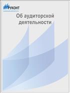 Об аудиторской деятельности