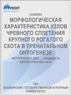 МОРФОЛОГИЧЕСКАЯ ХАРАКТЕРИСТИКА УЗЛОВ ЧРЕВНОГО СПЛЕТЕНИЯ КРУПНОГО РОГАТОГО СКОТА В ПРЕНАТАЛЬНОМ ОНТОГЕНЕЗЕ