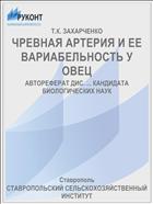 ЧРЕВНАЯ АРТЕРИЯ И ЕЕ ВАРИАБЕЛЬНОСТЬ У ОВЕЦ