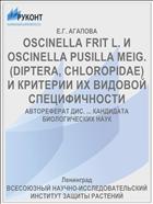 OSCINELLA FRIT L. И OSCINELLA PUSILLA MEIG. (DIPTERA, CHLOROPIDAE) И КРИТЕРИИ ИХ ВИДОВОЙ СПЕЦИФИЧНОСТИ