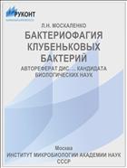 БАКТЕРИОФАГИЯ КЛУБЕНЬКОВЫХ БАКТЕРИЙ