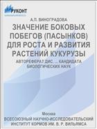 ЗНАЧЕНИЕ БОКОВЫХ ПОБЕГОВ (ПАСЫНКОВ) ДЛЯ РОСТА И РАЗВИТИЯ РАСТЕНИЙ КУКУРУЗЫ