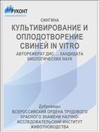 КУЛЬТИВИРОВАНИЕ И ОПЛОДОТВОРЕНИЕ СВИНЕЙ IN VITRO