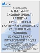 АНАТОМИЯ И ЗАКОНОМЕРНОСТИ РАЗВИТИЯ КЛУБЕНЬКОВЫХ БАКТЕРИЙ В СИМБИОЗЕ С РАСТЕНИЕМ И В УСЛОВИЯХ ИСКУССТВЕННОЙ ПИТАТЕЛЬНОЙ СРЕДЫ